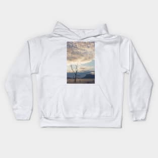 Dead tree in muddy beach at sunset Kids Hoodie